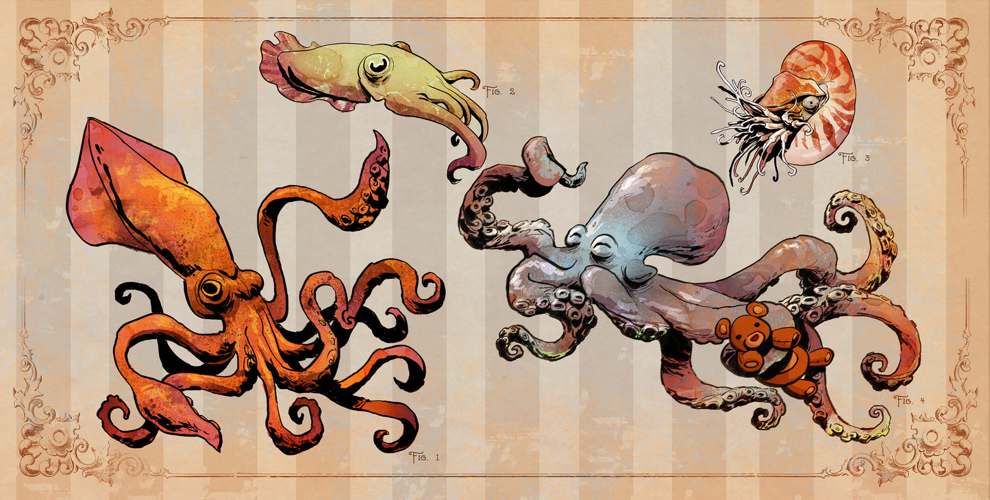 Cephalopods Print